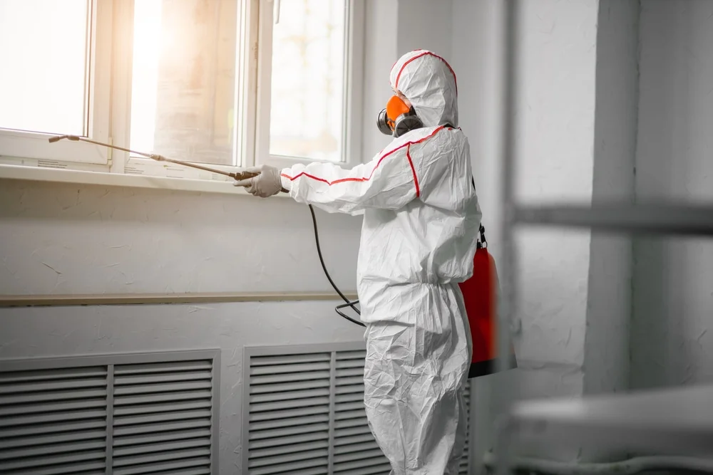 Professional mold remediation services in Champlin, MN